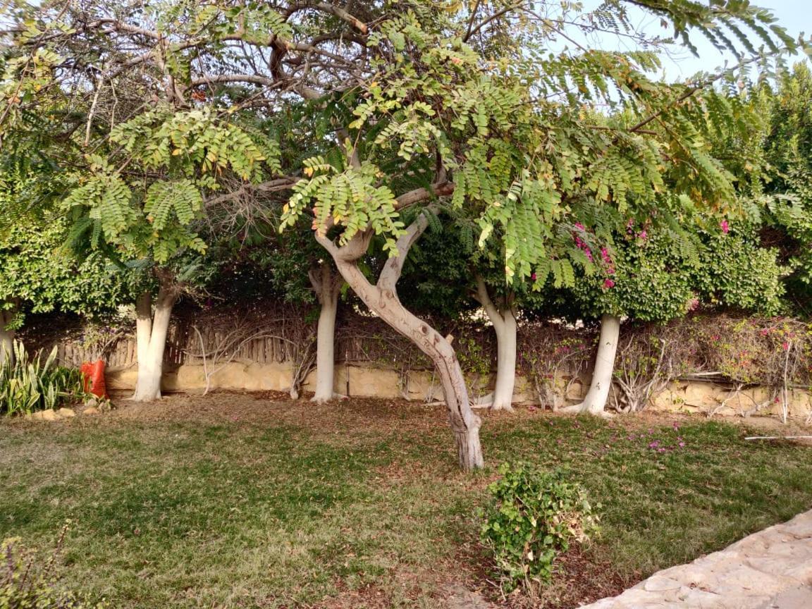 Tunis Lake View Izbat an Namus Экстерьер фото