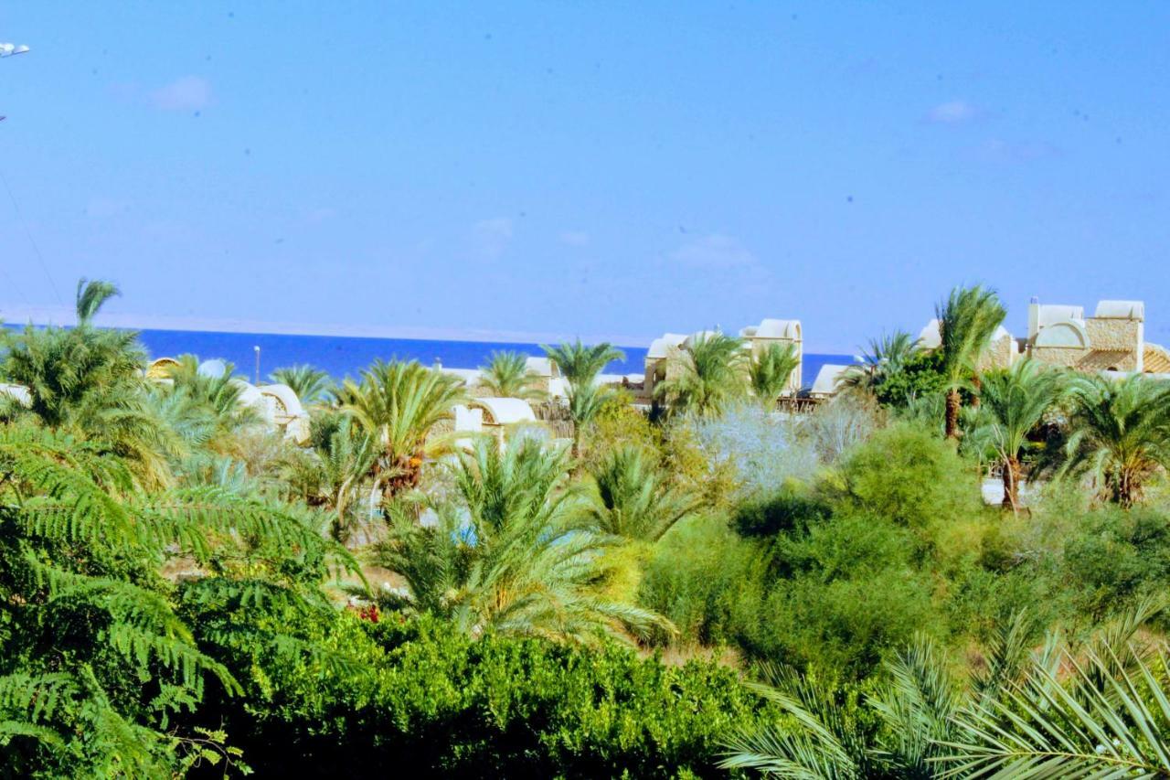 Tunis Lake View Izbat an Namus Экстерьер фото